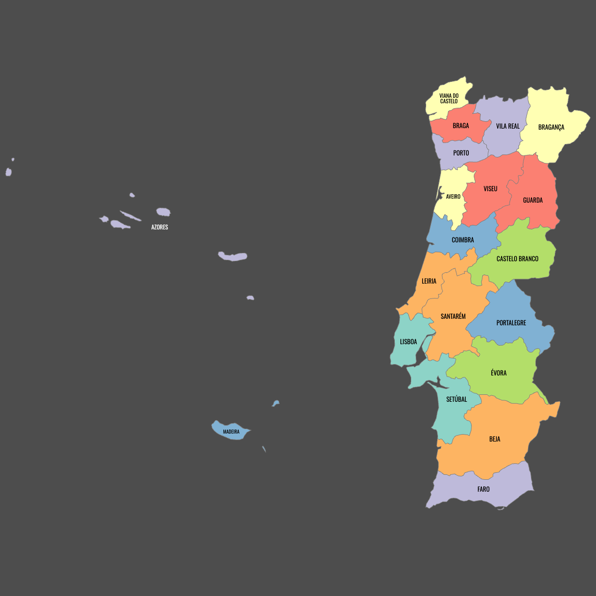 Colored Map of Portugal Districts with Labels (Dark Theme)