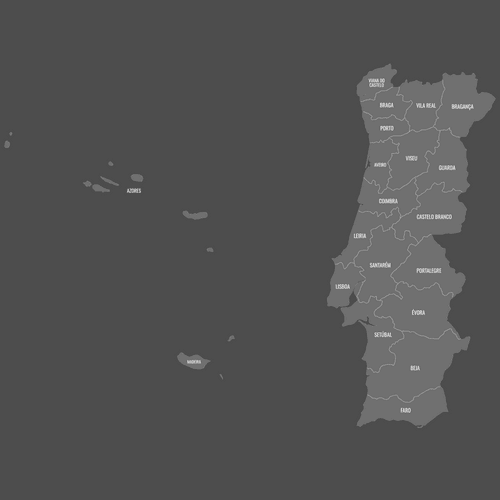 Preview of Labeled Map of Portugal Districts (Dark)