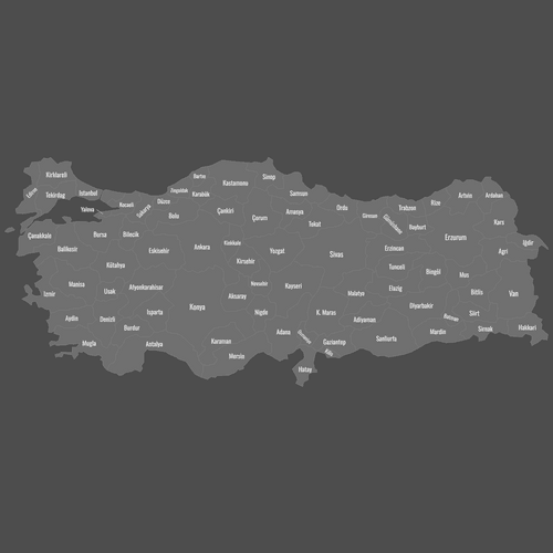 Preview of Blank Printable Map of India (Dark Theme)