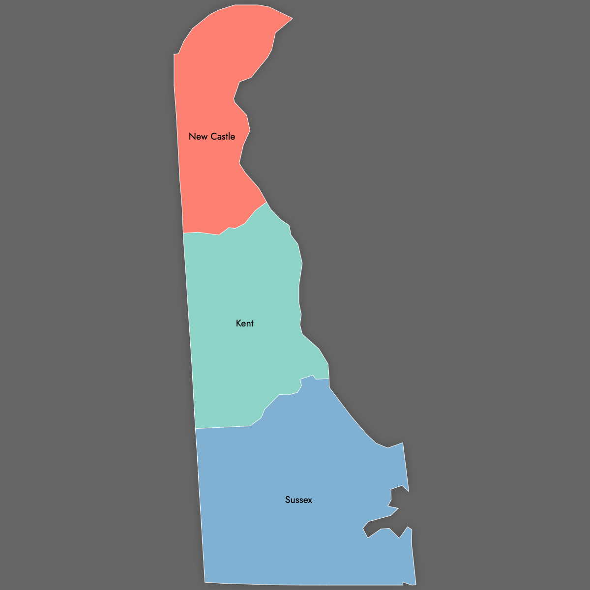 Custom Map of Delaware Counties With Labels