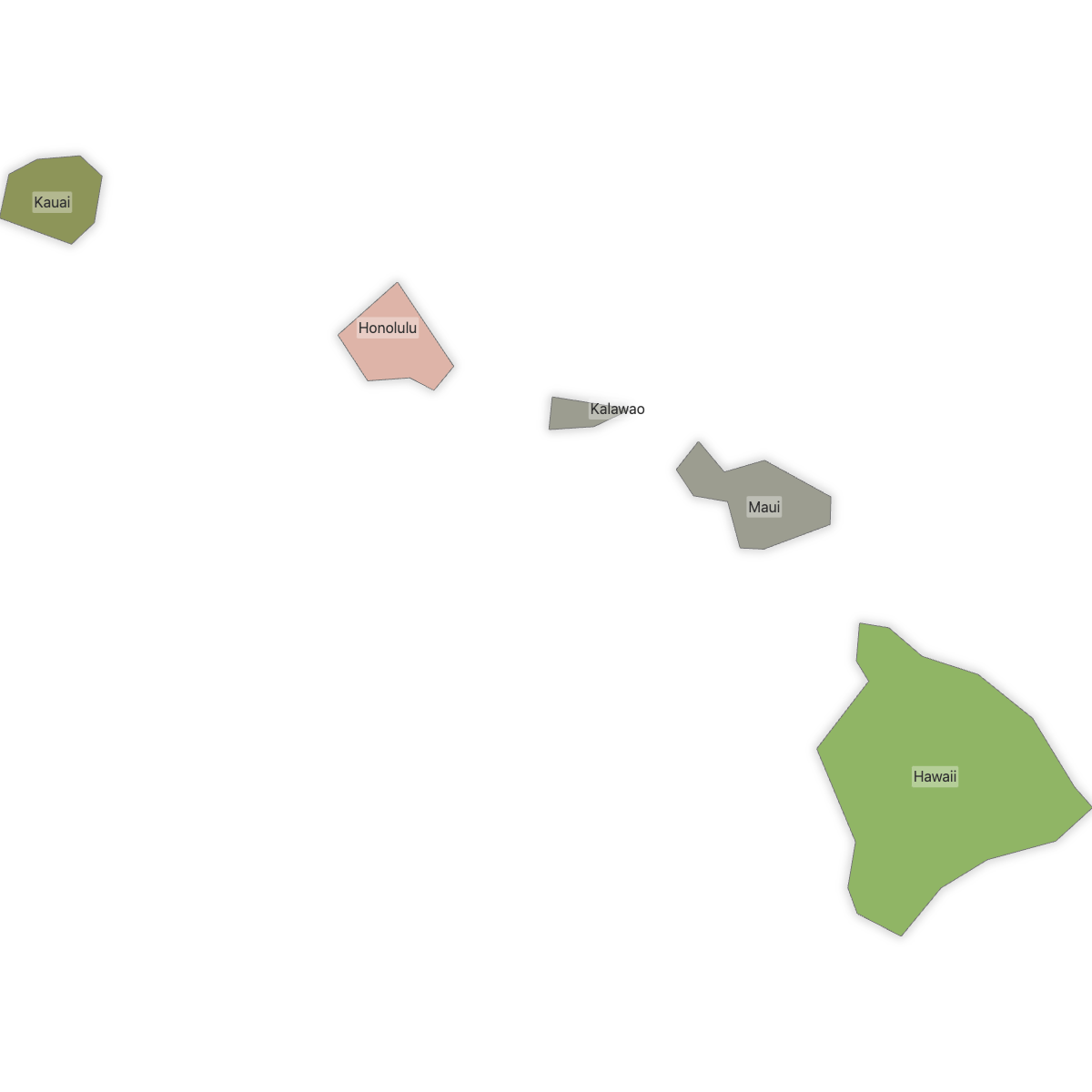 Colored Map of Hawaii Counties with Labels