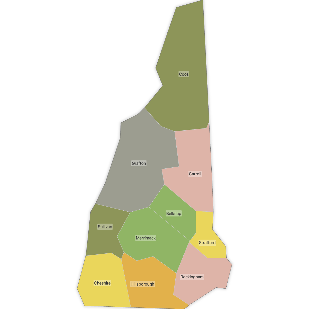 Colored Map of New Hampshire Counties with Labels