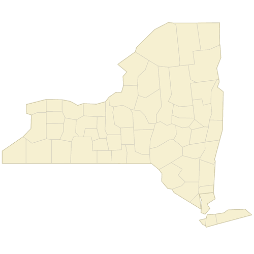 Preview of Blank Map of New York Counties