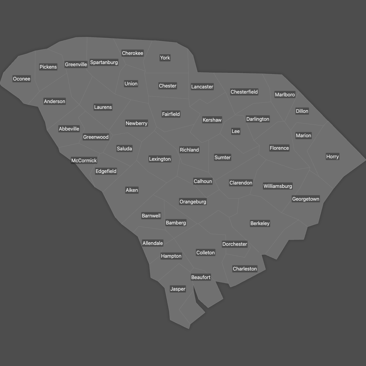 Blank Map of South Carolina Counties with Labels (Dark Theme)