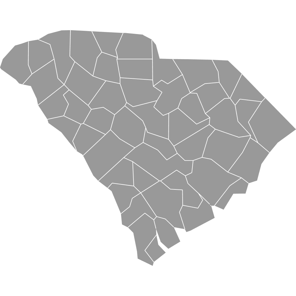 Preview of South Carolina, US — Counties