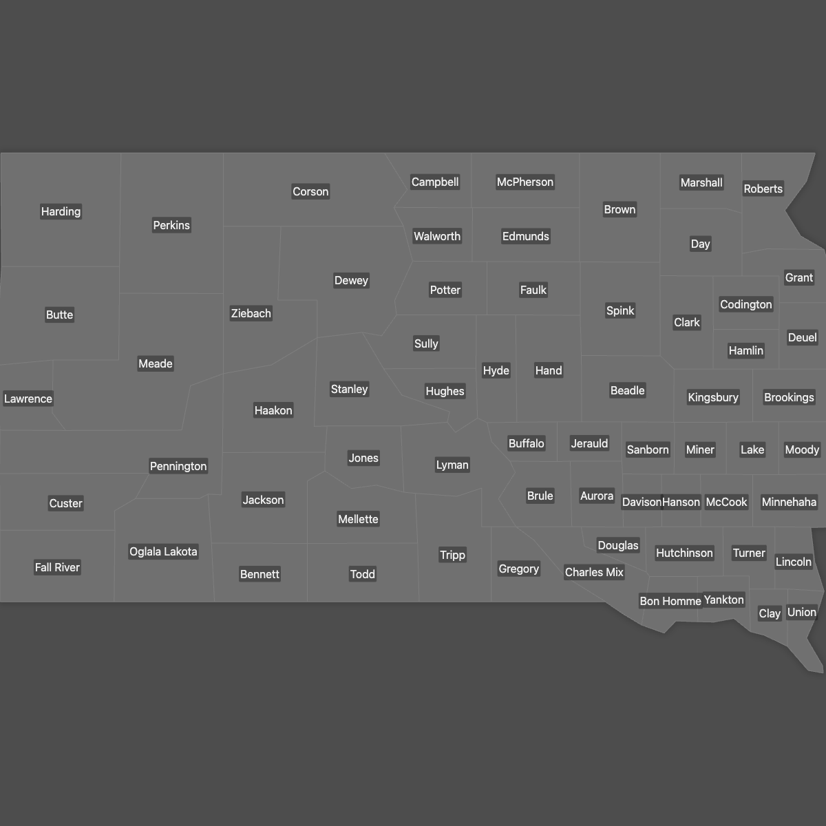 Blank Map of South Dakota Counties with Labels (Dark Theme)